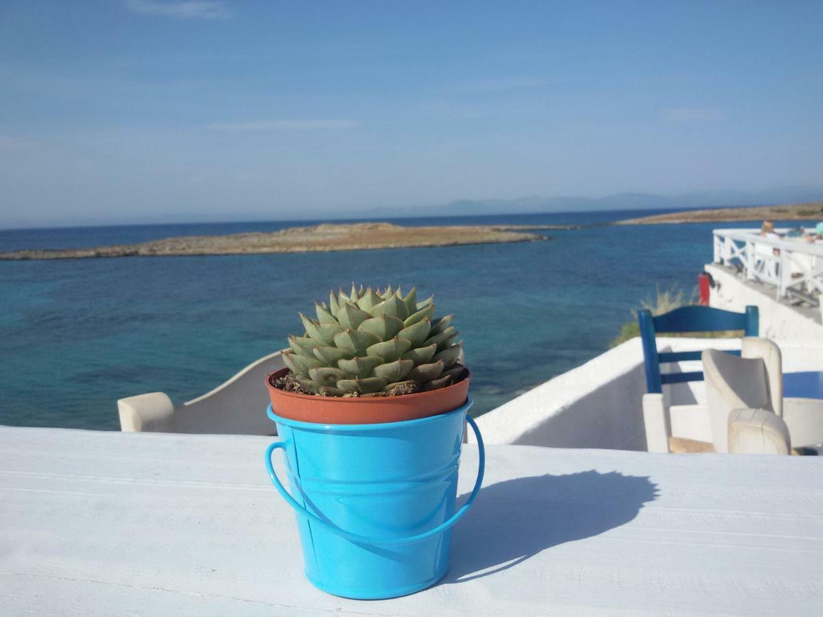 Sea & City - 10 Min Drive To The Beach & Athens Airport Apartment Markopoulo Mesogaias Bagian luar foto